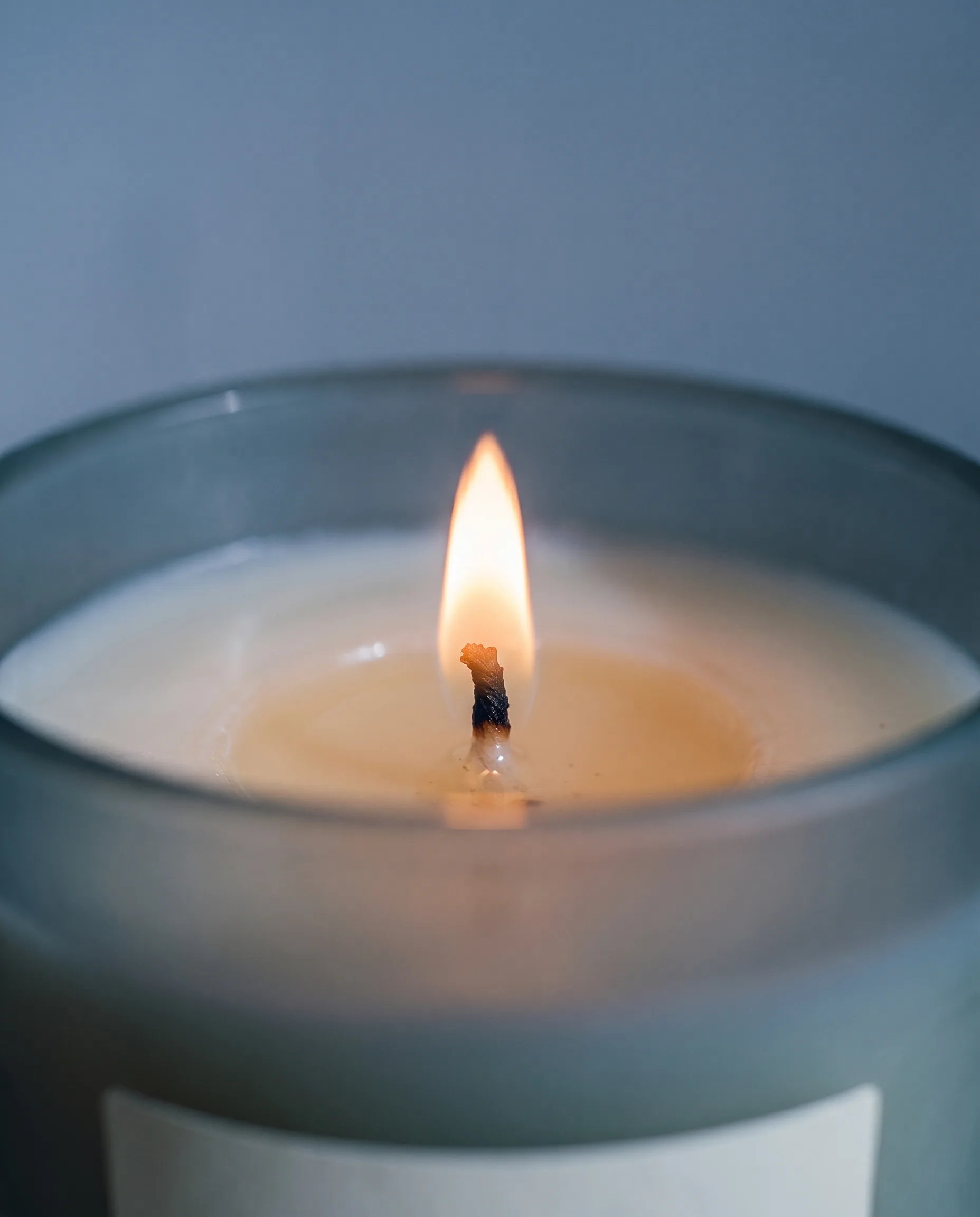Close-up of a trimmed cotton wick burning with a small, steady flame over a clear pool of melted wax.